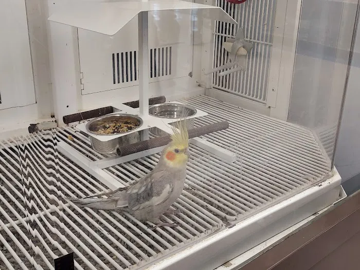 Petco 5