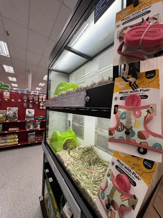 Petco 2