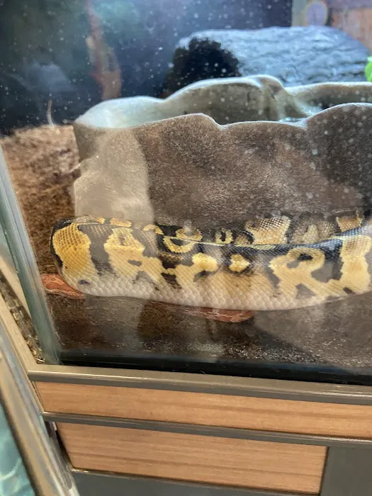 Petco 9