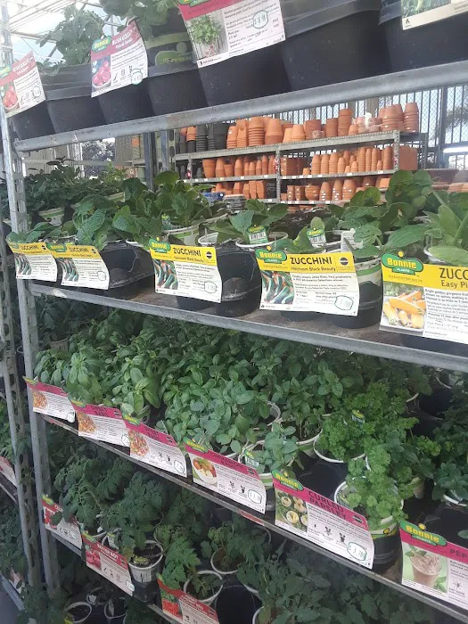 Lowe's Garden Center 8