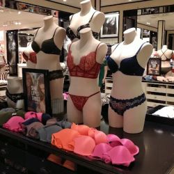 Victoria's Secret & PINK by Victoria's Secret ico