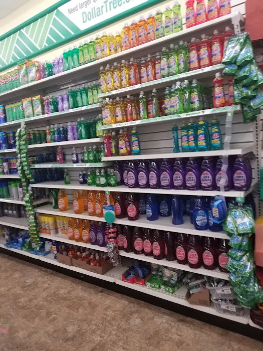 Dollar Tree 5