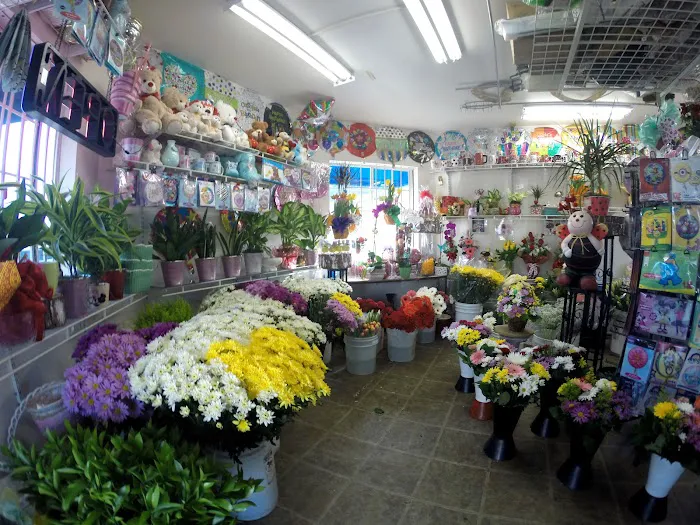Casa Blanca Flowers 0