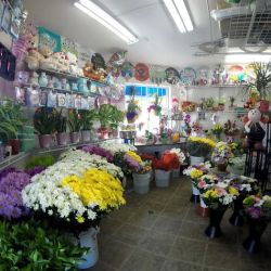 Casa Blanca Flowers ico