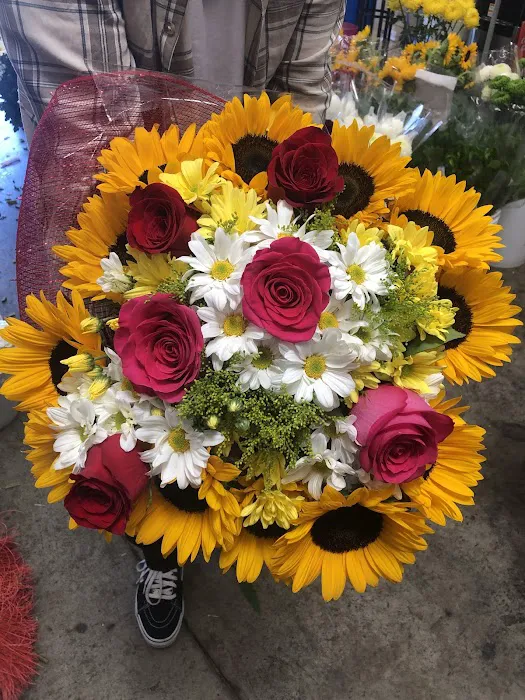 Casa Blanca Flowers 4