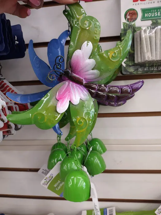 Dollar Tree 8