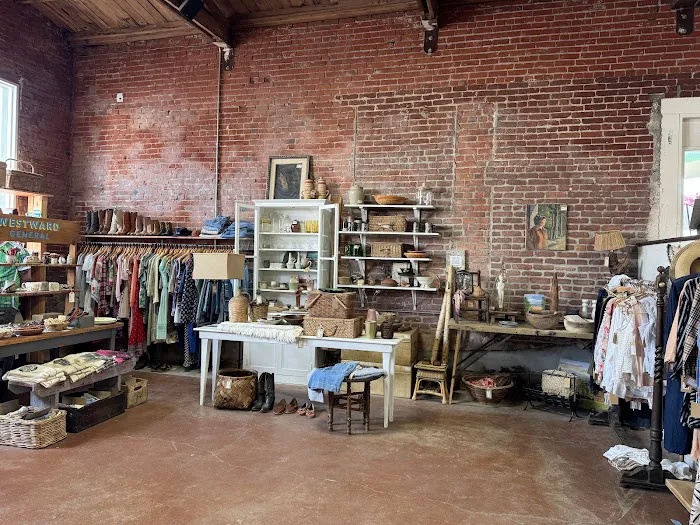 Findings Flea 1
