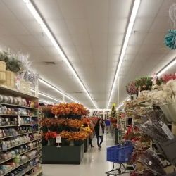 Hobby Lobby ico