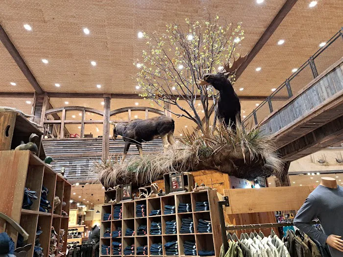 Bass Pro Shops 1
