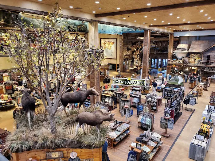 Bass Pro Shops 4