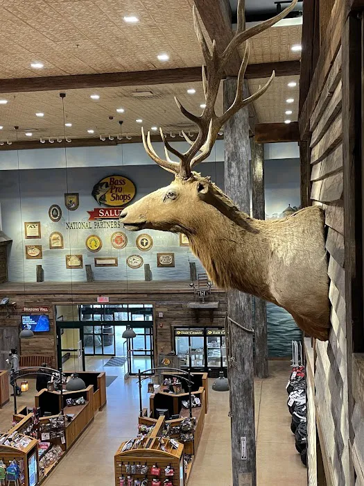 Bass Pro Shops 9