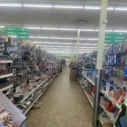 Dollar Tree ico