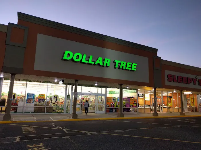 Dollar Tree 4