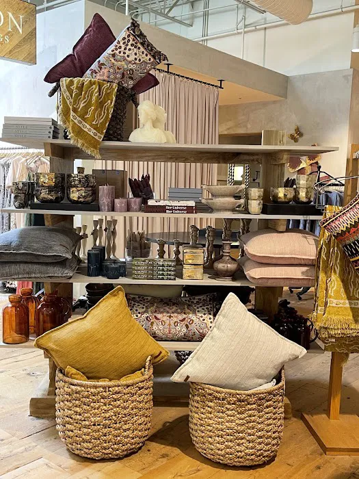 Anthropologie 1