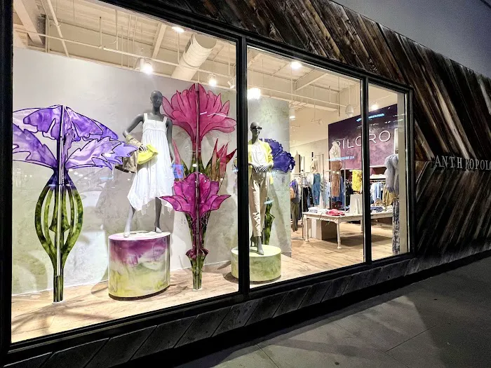 Anthropologie 2