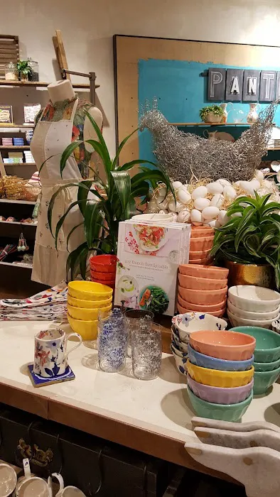 Anthropologie 5