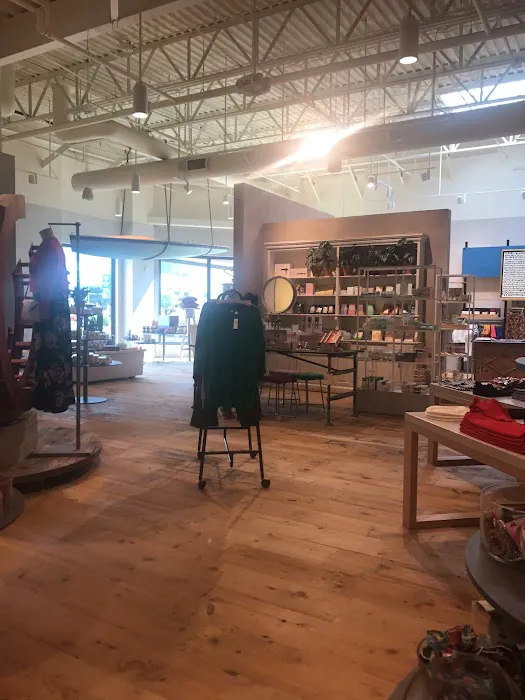 Anthropologie 4