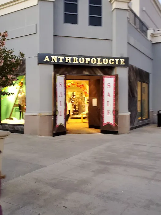 Anthropologie 3