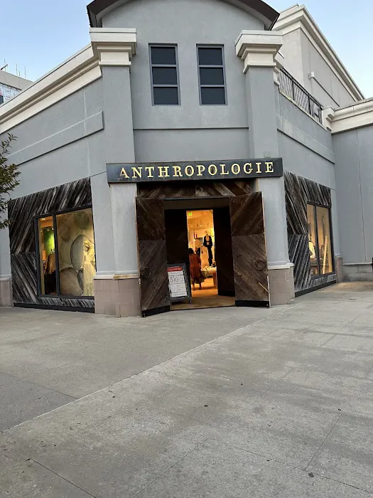 Anthropologie 6