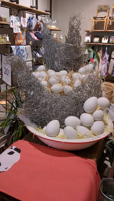Anthropologie 8