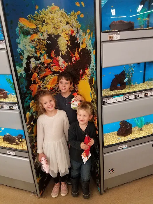 Petco 2
