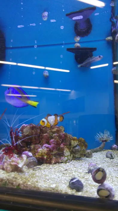 Petco 5