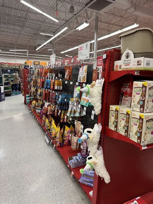 Petco 4