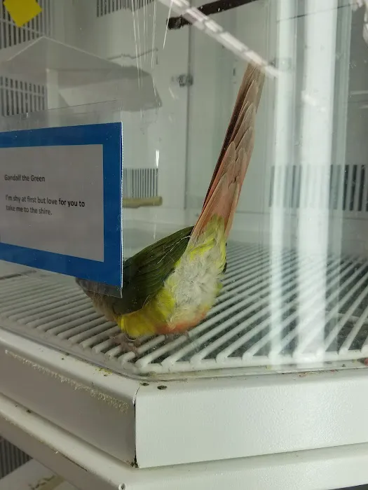 Petco 8