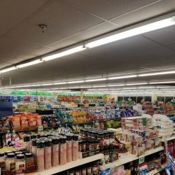 Dollar Tree ico