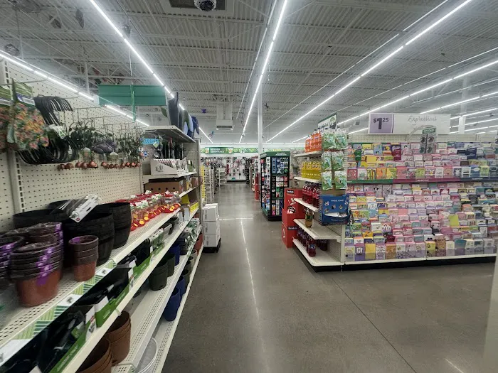 Dollar Tree 3