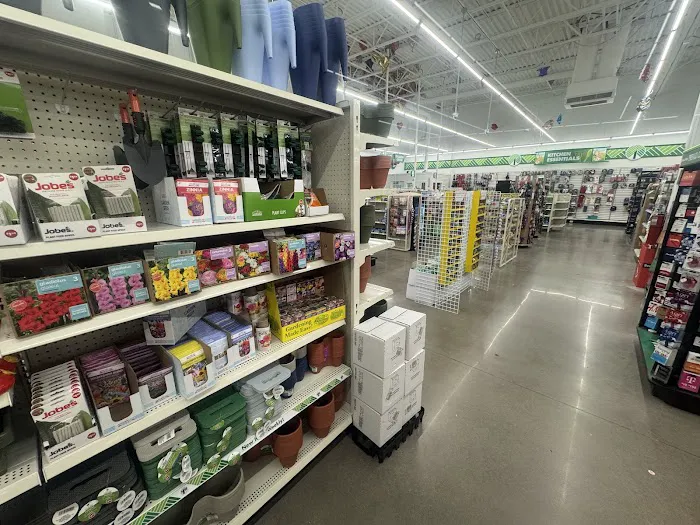 Dollar Tree 5