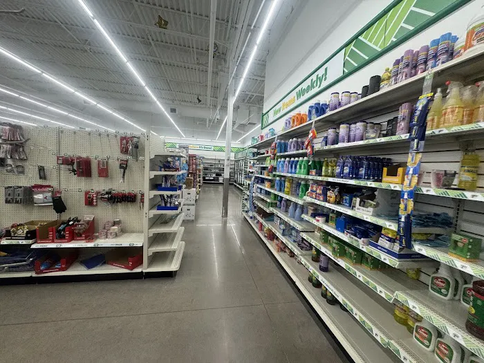 Dollar Tree 9