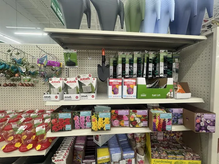 Dollar Tree 8