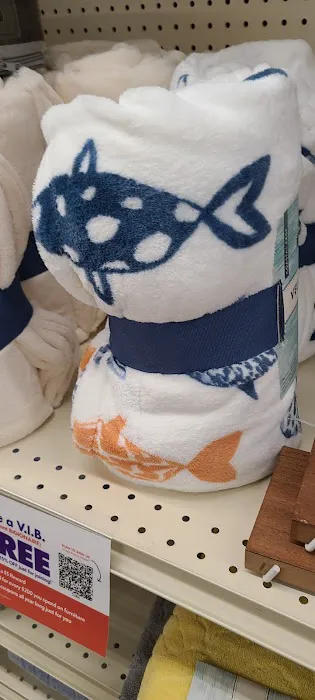 Big Lots 9