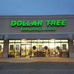 Dollar Tree ico