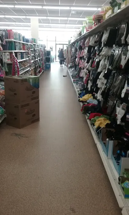 Dollar Tree 7