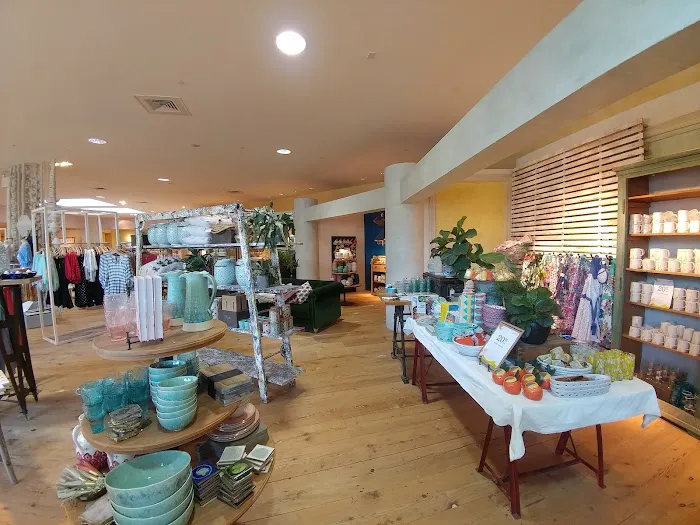 Anthropologie 2