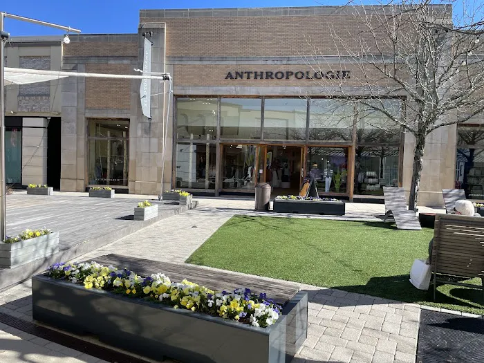 Anthropologie 4
