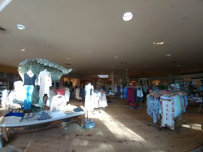 Anthropologie 3