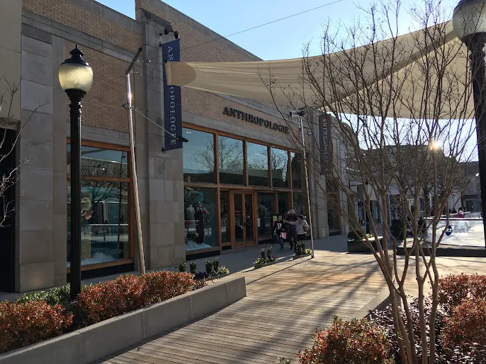 Anthropologie 8