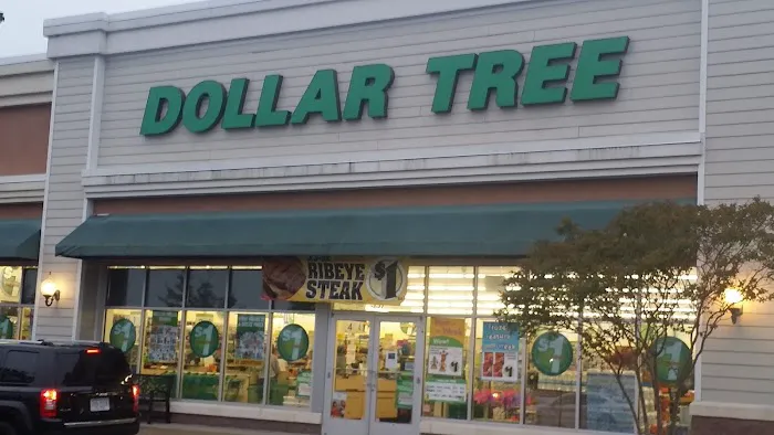 Dollar Tree 3