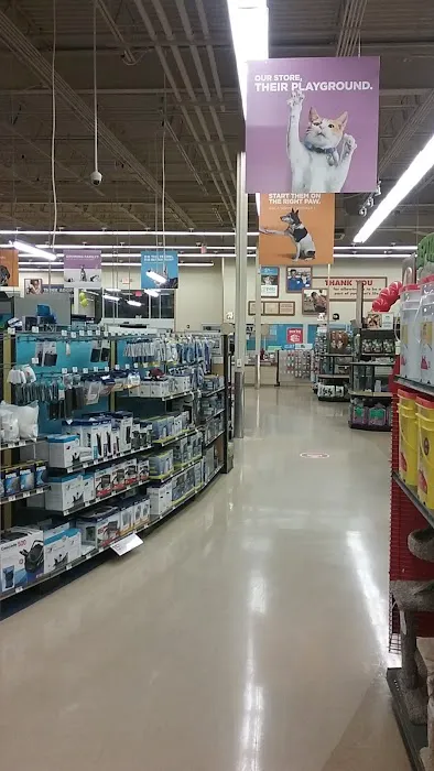 Dollar Tree 0