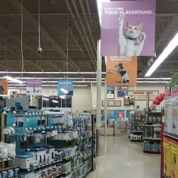 Dollar Tree ico