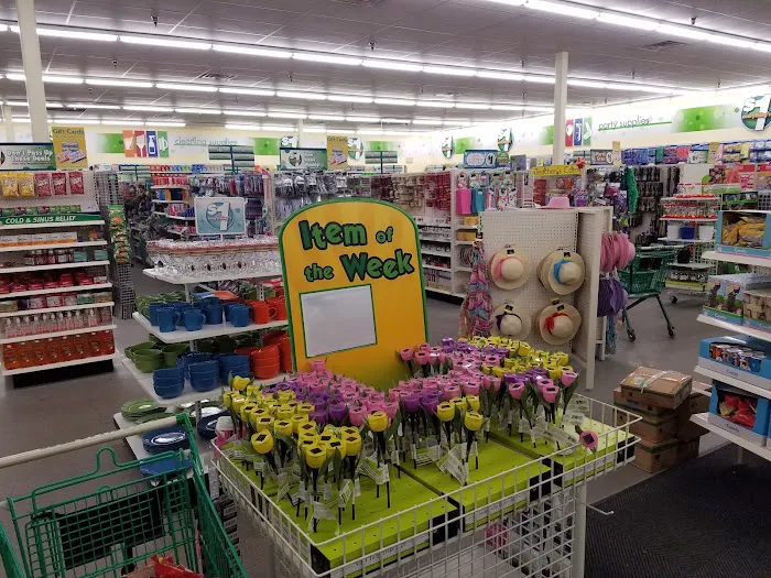 Dollar Tree 4