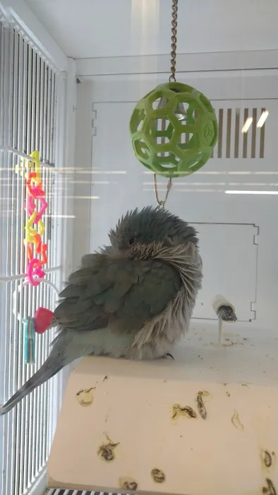 Petco 4