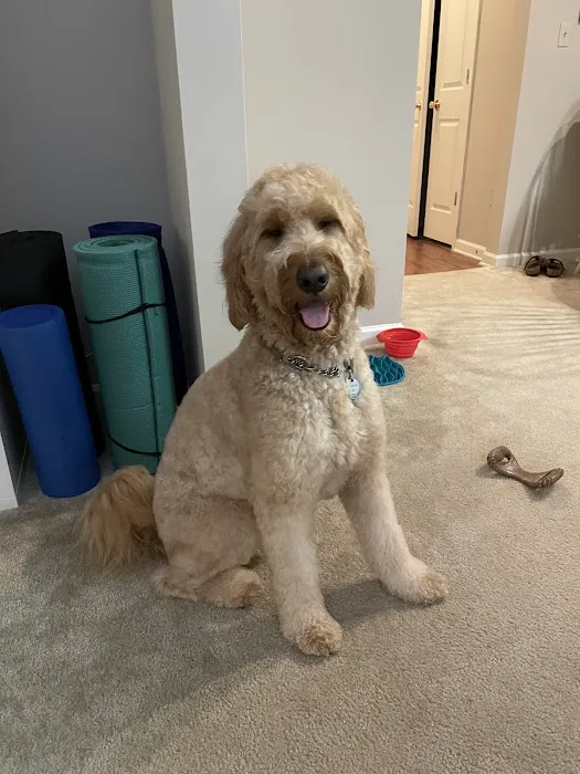 Petco 8