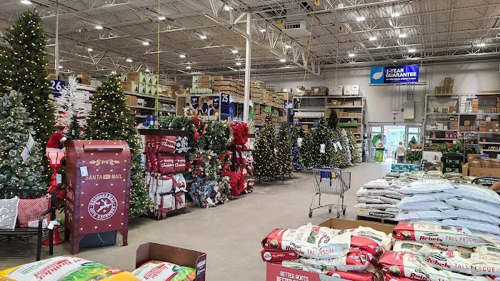 Lowe's Home Improvement 9