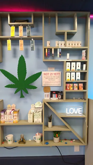 The Hemp Store Chapel Hill 3
