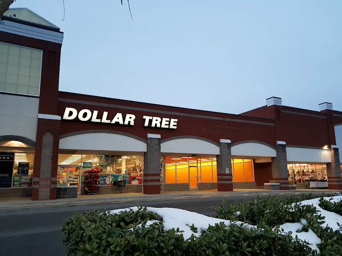 Dollar Tree 4