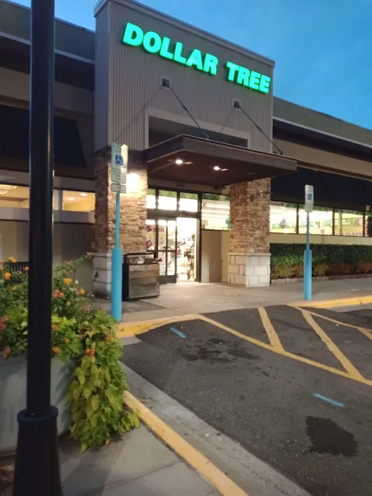 Dollar Tree 7